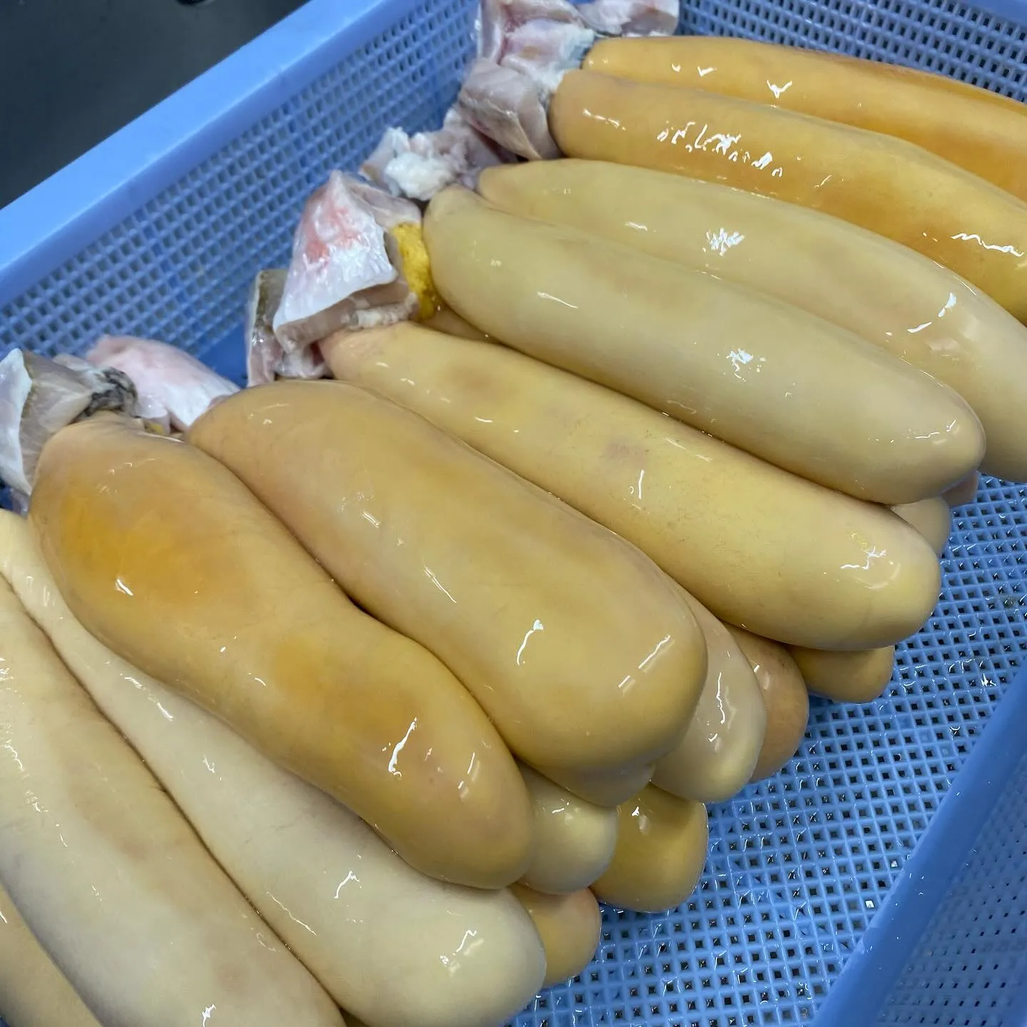 皆様こんにちは😃鮨阿部です🍣